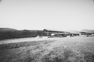 untitled-2-2